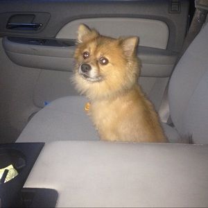 Meet your Posher, Veronica